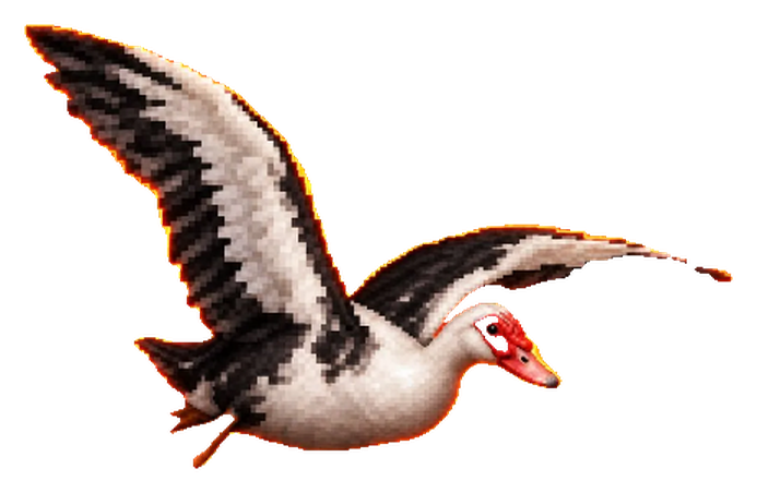 Hank, a white and black duck with a red face, flying upward